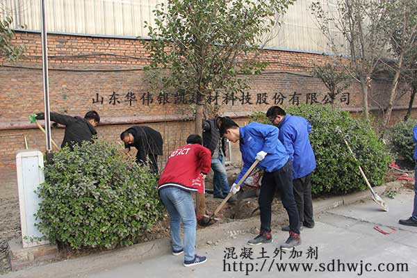 山東華偉銀凱建材科技股份有限公司 植樹活動圓滿成功